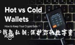 如何安全保存TP钱包私钥：保护你的数字资产不受
