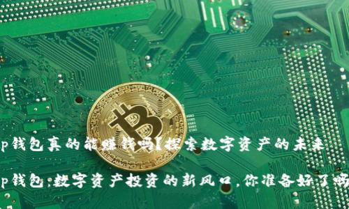 tp钱包真的能赚钱吗？探索数字资产的未来

tp钱包：数字资产投资的新风口，你准备好了吗？