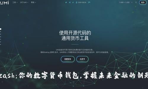 Kcash：你的数字货币钱包，掌握未来金融的钥匙！