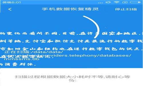 数字钱包的试点项目通常会在多个地方进行，但具体的试点城市或地区可能会随着政策的变化而有所不同。目前，在许多国家和地区，包括中国、美国、欧洲等地方，数字钱包的试点正在逐渐扩大。以下是一些主要的试点地区：

1. **中国**：中国在数字钱包的试点方面非常活跃，尤其是在一线城市如北京、上海和深圳等地。支付宝和微信支付是最流行的数字钱包，广泛应用于日常生活中。

2. **美国**：美国的数字钱包主要由苹果支付、谷歌支付和三星支付等公司主导。许多城市如旧金山和纽约也在进行数字钱包的试点。

3. **欧洲**：在欧洲，瑞典和芬兰等北欧国家在数字钱包的使用上走在前列。一些城市正在试点数字欧元。

4. **东南亚**：新加坡和马来西亚等地也在推动数字钱包的普及，尤其是面对年轻一代的消费群体。

5. **非洲**：如肯尼亚的M-Pesa在推动移动支付和数字钱包方面取得了显著成功。

试点项目通常会根据当地的法律法规、用户需求和技术基础来选择并推广。如果你对特定的地区或国家有兴趣，可以进一步了解相关的信息。
