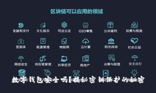 数字钱包安全吗？揭秘密钥保护的秘密