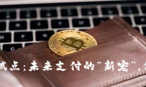 数字钱包APP试点：未来支付的“新宠”，你准备好了吗？