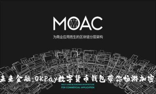 解锁未来金融：OKPay数字货币钱包带你畅游加密世界！
