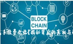 数字钱包手续费乱收？揭秘背后的真相与解决方