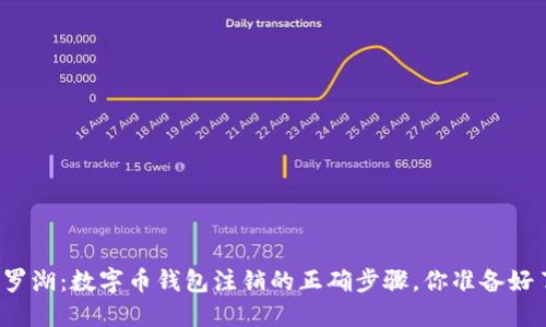 深圳罗湖：数字币钱包注销的正确步骤，你准备好了吗？
