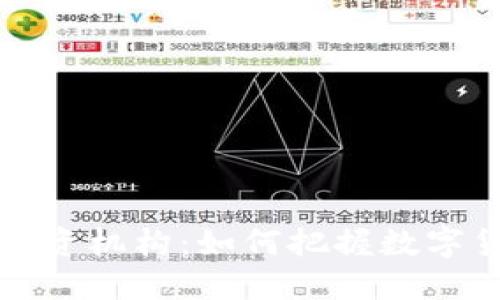 揭秘TP钱包投资机构：如何把握数字货币风口浪潮
