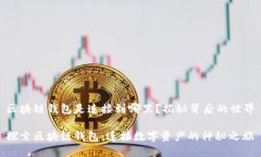 区块链钱包是连接到哪里？揭秘背后的世界探索