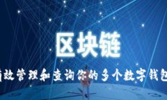 如何有效管理和查询你的多个数字钱包账户？