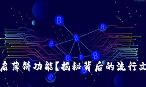 TP钱包如何开启薄饼功能？揭秘背后的流行文化与操作技巧