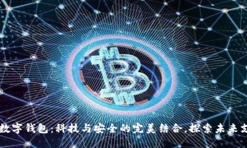 以色列数字钱包：科技与安全的完美结合，探索未来支付方式