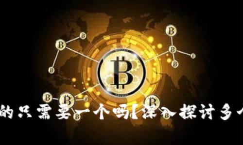数字人民币钱包：你真的只需要一个吗？深入探讨多个钱包的优势与必要性