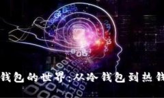 探索区块链钱包的世界：从冷钱包到热钱包的全