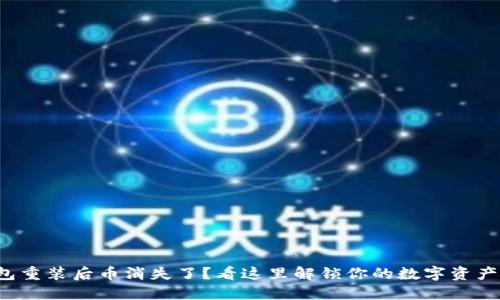 TP钱包重装后币消失了？看这里解锁你的数字资产之谜！