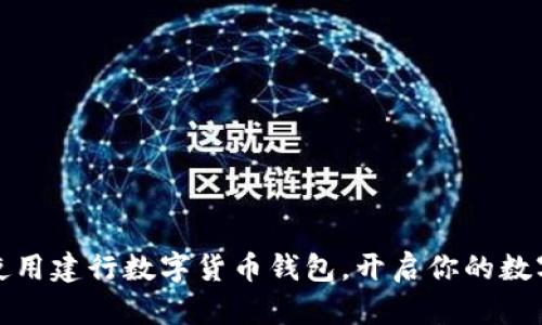 如何巧妙使用建行数字货币钱包，开启你的数字生活之旅