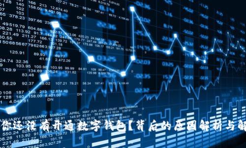 为什么你还没有开通数字钱包？背后的原因解析与解决方案