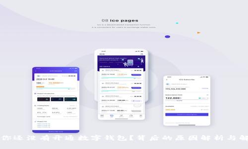 为什么你还没有开通数字钱包？背后的原因解析与解决方案