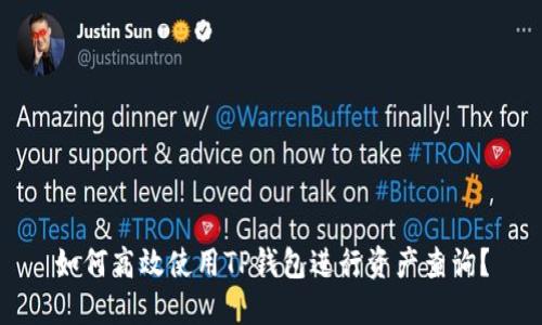如何高效使用TP钱包进行资产查询？