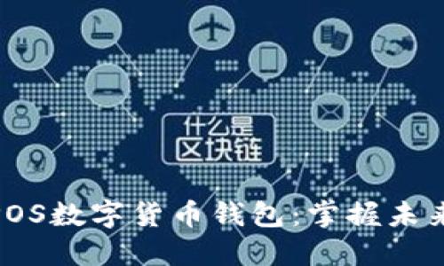 安全高效的POS数字货币钱包：掌握未来金融的钥匙