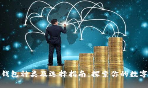 加密货币钱包种类及选择指南：探索你的数字财富之路