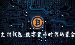 区块链支付钱包：数字货币时代的资金护航者