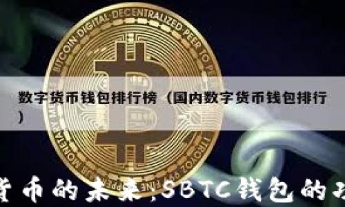 
探索数字货币的未来：SBTC钱包的功能与优势