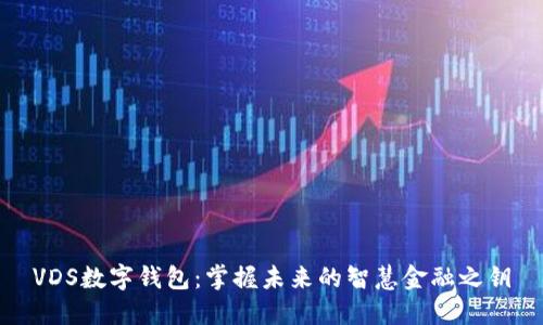 VDS数字钱包：掌握未来的智慧金融之钥