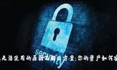 数字钱包无法使用的原因及解决方案：你的资产