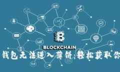 如何解决TP钱包无法进入薄饼：轻松获取你的加密