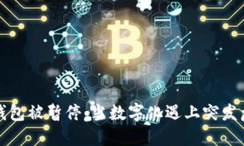 数字银行钱包被暂停：当数字化遇上突发危机的背后