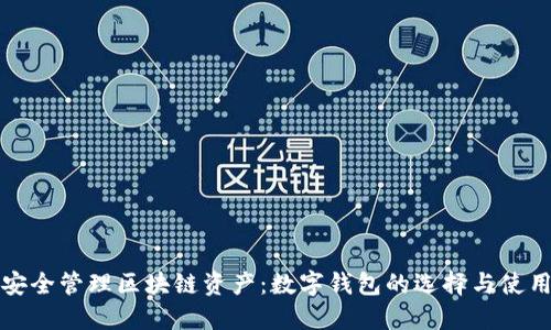 如何安全管理区块链资产：数字钱包的选择与使用指南
