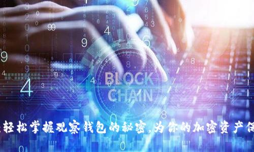 TP钱包：轻松掌握观察钱包的秘密，为你的加密资产保驾护航