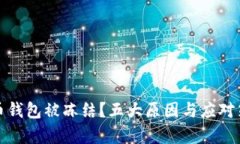 加密货币钱包被冻结？五大原因与应对策略解析