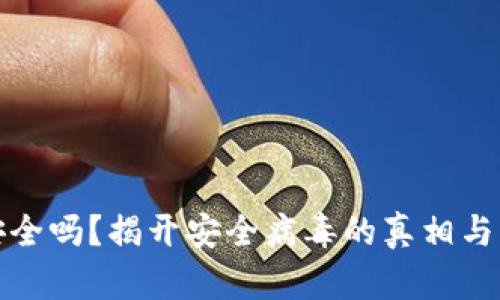 TP钱包安全吗？揭开安全病毒的真相与防护策略