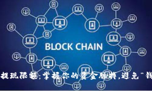 数字钱包提现限额：掌握你的资金脉搏，避免“钱包失血”！