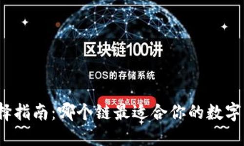 TP钱包选择指南：哪个链最适合你的数字货币之旅？