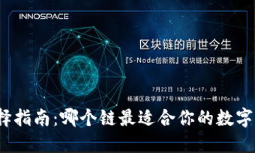 TP钱包选择指南：哪个链最适合你的数字货币之旅？