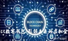 GDTrust数字钱包：引领未来的虚拟金融生活