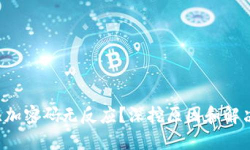钱包添加密码无反应？深挖原因和解决方案！