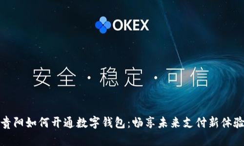 贵阳如何开通数字钱包：畅享未来支付新体验