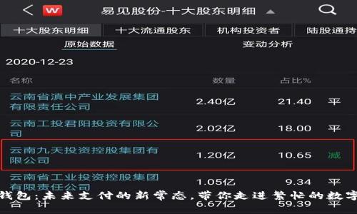 数字钱包：未来支付的新常态，带你走进繁忙的数字时代