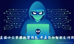 探索美国小众苹果数字钱包，开启你的智能支付