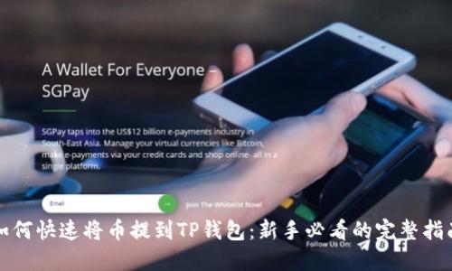 如何快速将币提到TP钱包：新手必看的完整指南