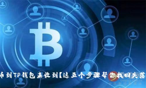 从交易所提币到TP钱包未收到？这五个步骤帮你找回失落的数字资产！