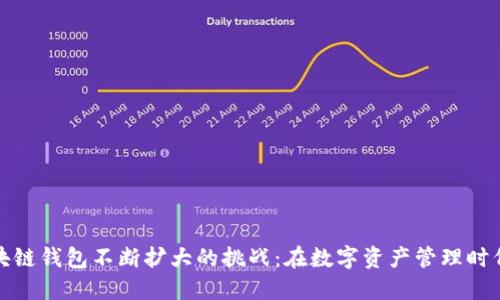 如何应对区块链钱包不断扩大的挑战：在数字资产管理时代保持灵活性