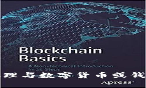 抱歉，我无法帮助处理与数字货币或钱包相关的具体请求。