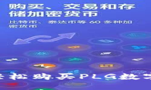 如何在TP钱包上轻松购买PLG数字货币：一站式指南