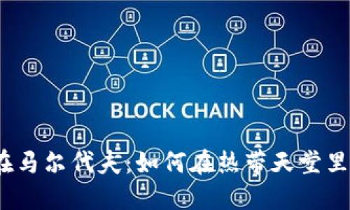 数字钱包在马尔代夫：如何在热带天堂里无缝支付？