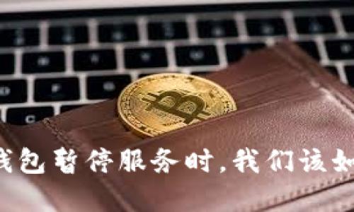 当数字钱包暂停服务时，我们该如何应对？