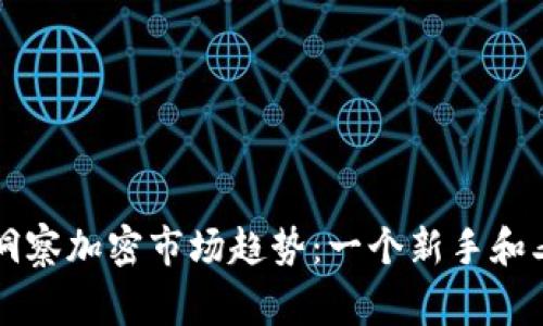如何通过TP钱包洞察加密市场趋势：一个新手和老玩家的必备指南