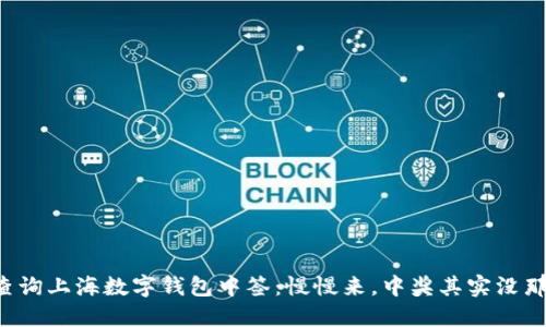 如何查询上海数字钱包中签：慢慢来，中奖其实没那么难！